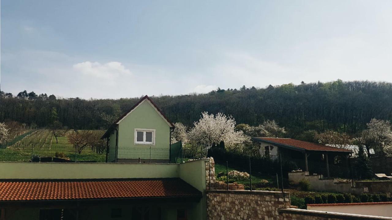 Hotel Pod Vinici Mikulov Esterno foto